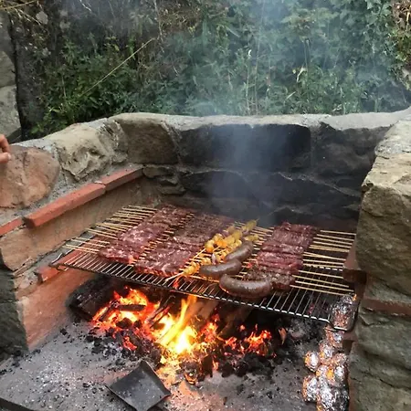 Metato Con Piscina E Giardino *