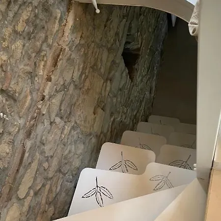 Metato Con Piscina E Giardino *