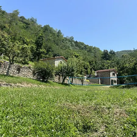 Metato Con Piscina E Giardino * Casabasciana